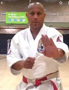Image of Ishinryu sensei